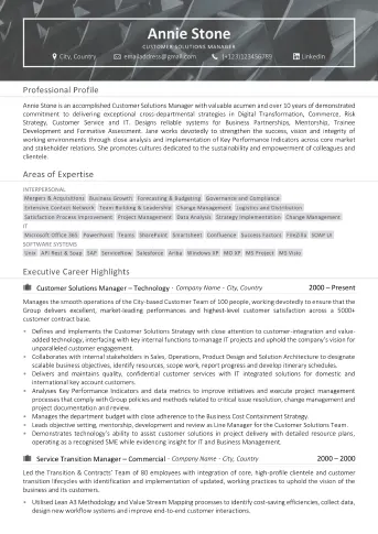 Professional CV/Resume writing service example - Senior Example 1