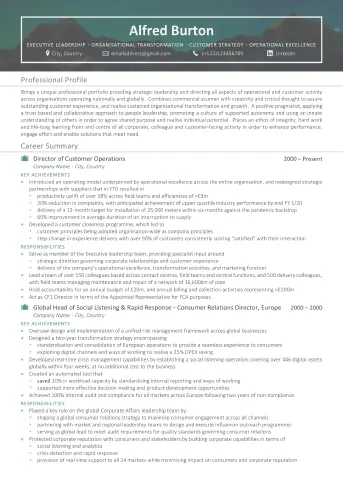 Professional CV/Resume writing service example - Premium Example 1
