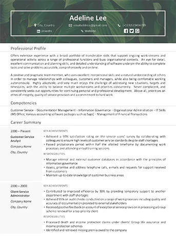 Professional CV/Resume writing service example - Senior Example 4