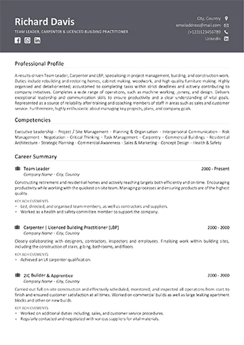 Professional CV/Resume writing service example - Standard Example 1