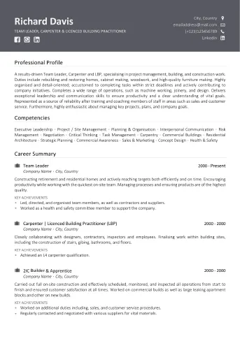 Professional CV/Resume writing service example - Standard Example 1