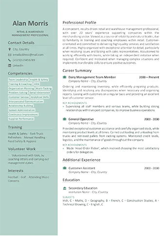 Professional CV/Resume writing service example - Standard Example 2